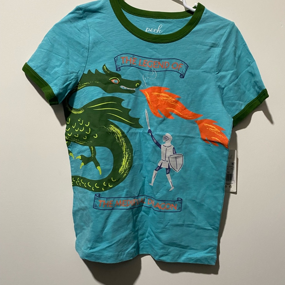 Peek Kids Blue Dragon Graphic T-Shirt NWT